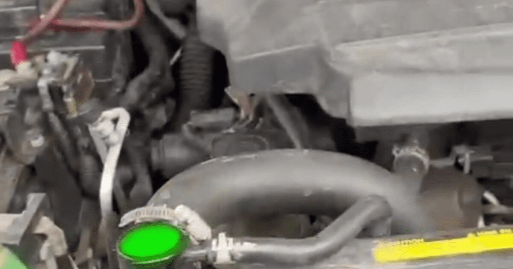 Close-up view of an automotive engine bay showing coolant reservoir, hoses, and mechanical components during maintenance or repair.
