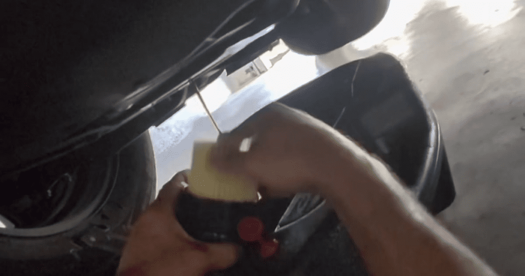 A person holds a snake indoors near a vehicle window with natural sunlight streaming in.